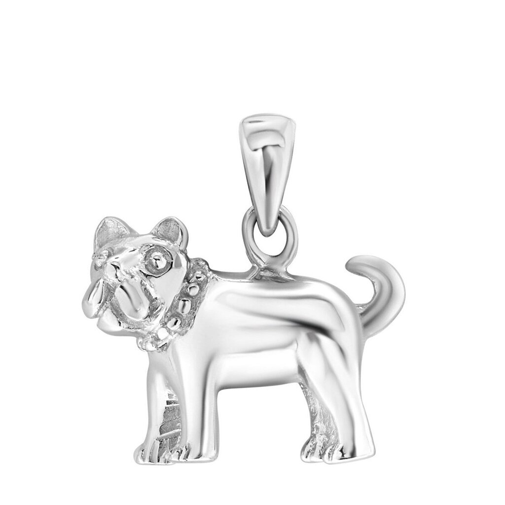Bol.com Zilveren hanger hond aanbieding