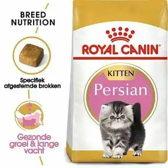 Zooplus Royal Canin Persian Kitten - Kattenvoer - Dubbelpak: 2 x 4 kg aanbieding