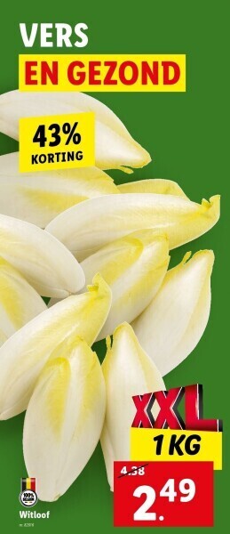 Lidl Witloof aanbieding