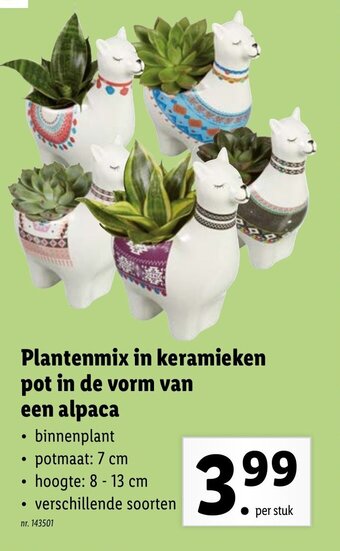 Plantenmix in keramieken pot in de vorm van een alpaca