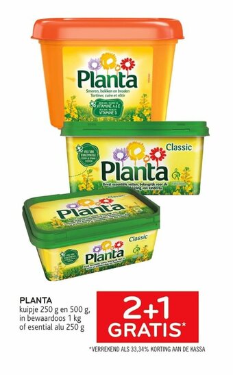 Planta