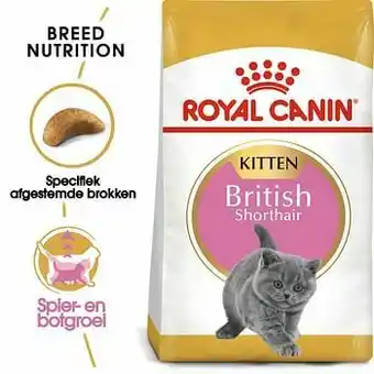Zooplus 2kg British Shorthair Kitten Royal Canin Breed Kattenvoer aanbieding
