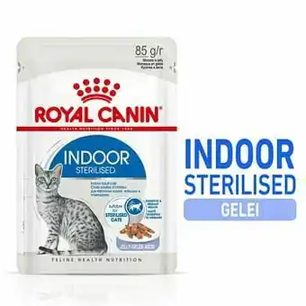 Zooplus 96x85g Indoor Sterilised in Gelei Royal Canin Kattenvoer aanbieding