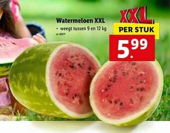 Lidl Watermeloen xxl aanbieding
