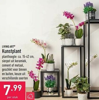 ALDI Kunstplant aanbieding