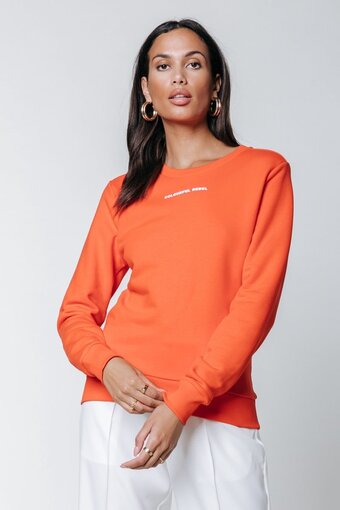 Bol.com Colourful rebel uni logo basic sweat - m aanbieding