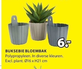 Jysk Buksebie bloembak aanbieding