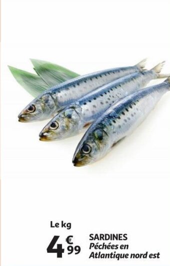 Auchan SARDINES aanbieding