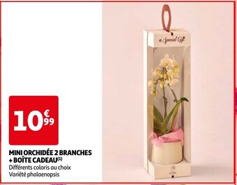 Auchan MINI ORCHIDÉE 2 BRANCHES + BOÎTE CADEAU aanbieding