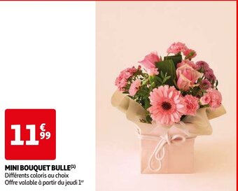 Auchan MINI BOUQUET BULLE aanbieding
