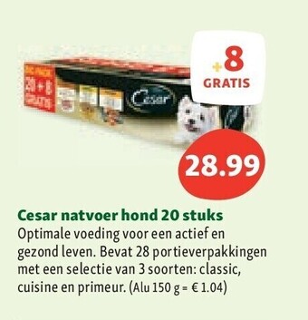 Maxi Zoo Cesar natvoer hond 20 stuks aanbieding