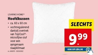 Hoofdkussen