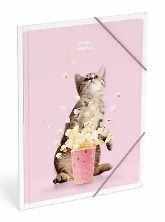 ToyChamp Funny Animals elastomap A4 kat aanbieding