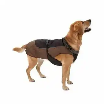 Zooplus Ca. 65 cm ruglengte Hondenjas Grizzly II aanbieding