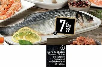 Cora Bar - zeebaars aanbieding