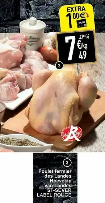 Poulet fermier des landes hoevekip van landes st-sever label rouge