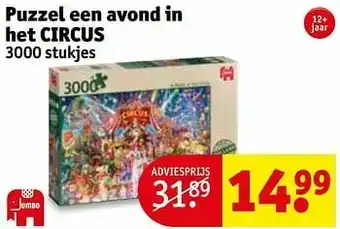 Puzzel een avond in het circus