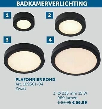 Zelfbouwmarkt Plafonnier rond aanbieding