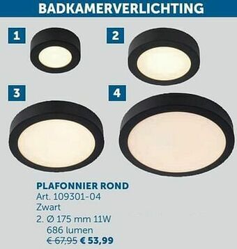 Zelfbouwmarkt Plafonnier rond aanbieding