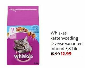 Intratuin Whiskas kattenvoeding aanbieding