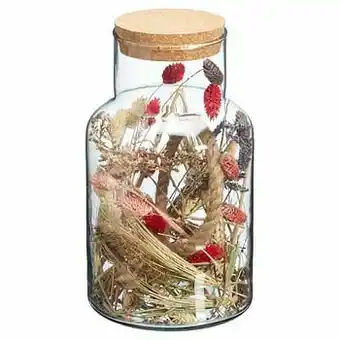 Kwantum Terrarium Milaan Multicolor aanbieding