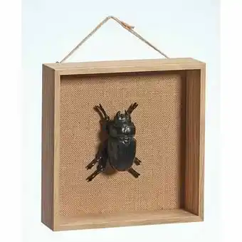 Kwantum Wanddecoratie Kever Bruin aanbieding