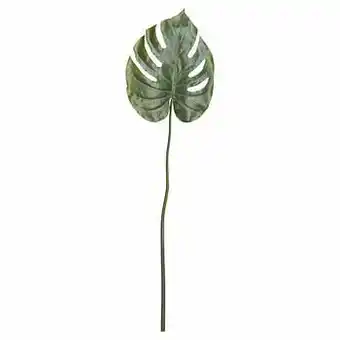Kwantum Kunsttak Monstera Blad Groen aanbieding