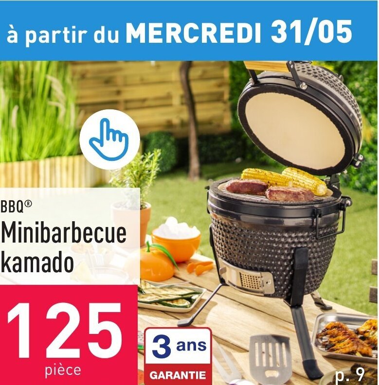 BBQⓇ Minibarbecue kamado promotie bij ALDI