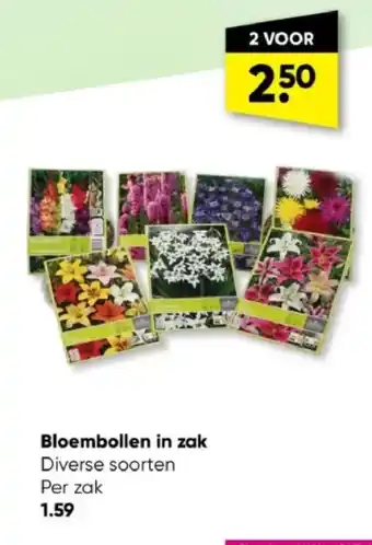 Bloembollen in zak