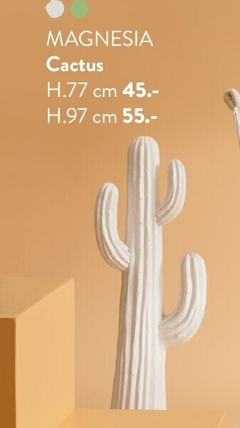 Cactus