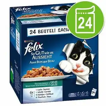 Zooplus 24x100g Elke Dag Feest in Gelei Vlees selectie Felix Kattenvoer aanbieding