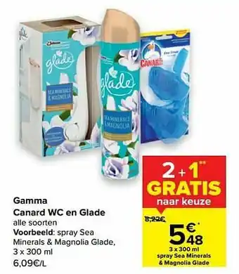 Carrefour Spray sea minerals + magnolia glade aanbieding
