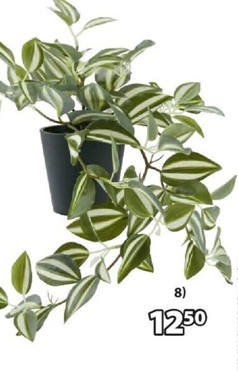 Jysk Asgar kunstplant h24 cm aanbieding
