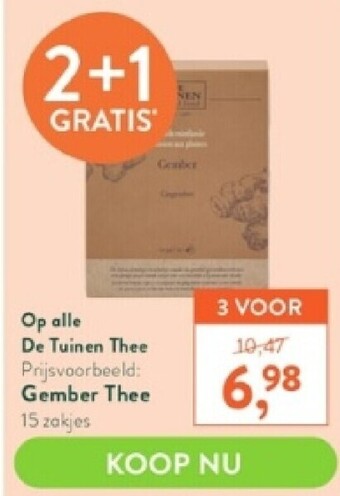 Gember thee 15 zakjes
