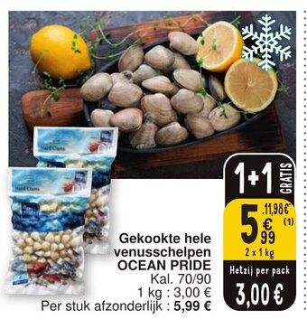 Cora Gekookte hele venusschelpen OCEAN PRIDE aanbieding