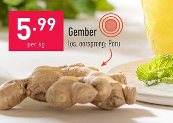 ALDI Gember aanbieding