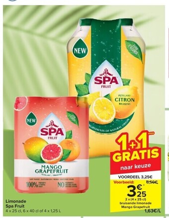 Carrefour Limonade spa fruit aanbieding