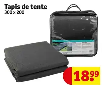 Kruidvat Tapis de tente 300 x 200 aanbieding