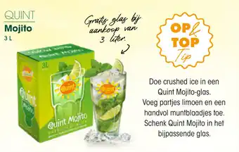 Prik en Tik QUINT Mojito 3 L aanbieding