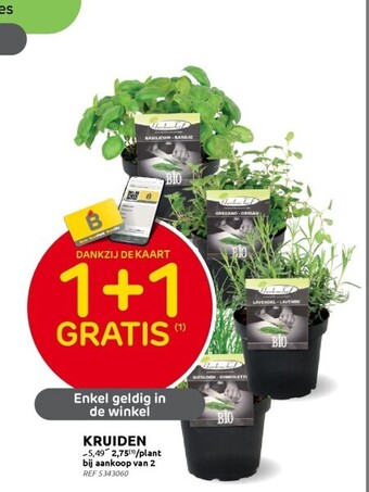 Brico Kruiden aanbieding