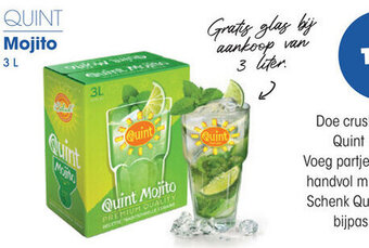 Prik en Tik Quint Mojito 3L aanbieding