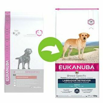 Zooplus Eukanuba Breed Specific Labrador Retriever Hondenvoer - 12 kg aanbieding