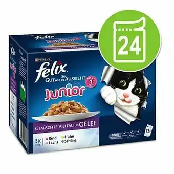 24x100g Elke Dag Feest Junior Selectie in Gelei Mix selectie Felix Kattenvoer