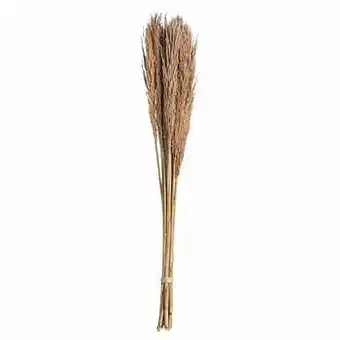 Kwantum Pluim Gras Naturel aanbieding