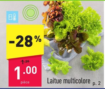 Laitue multicolore