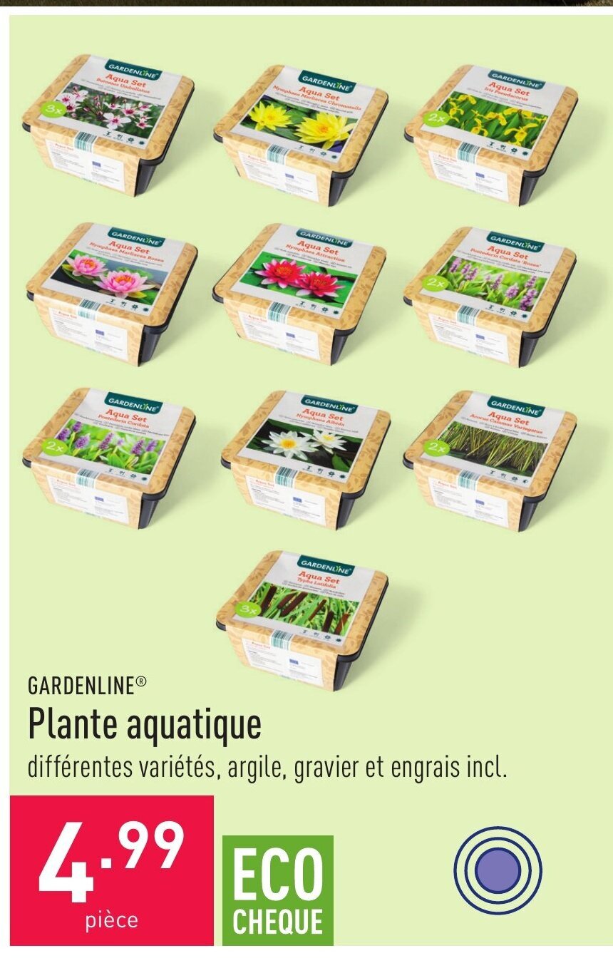 GARDENLINE Plante aquatique promotie bij ALDI