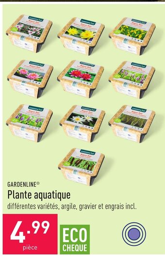 GARDENLINE Plante aquatique