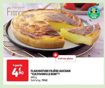 FLAN NATURE FILIÈRE