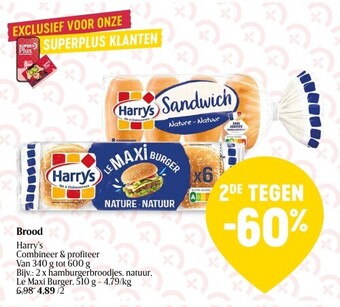 Harry's Brood