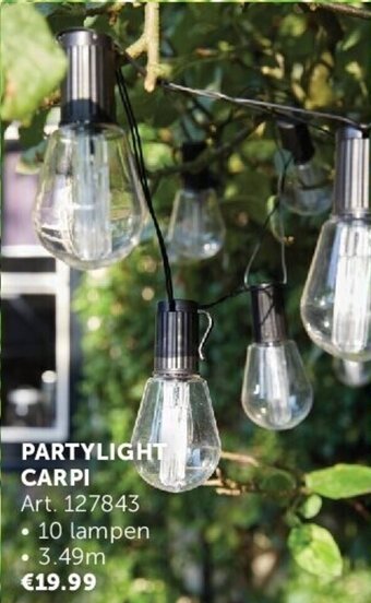 PARTYLIGHT CARPI Art. 127843 10 lampen 3.49m